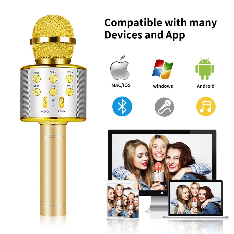 Wireless Karaoke Microphone